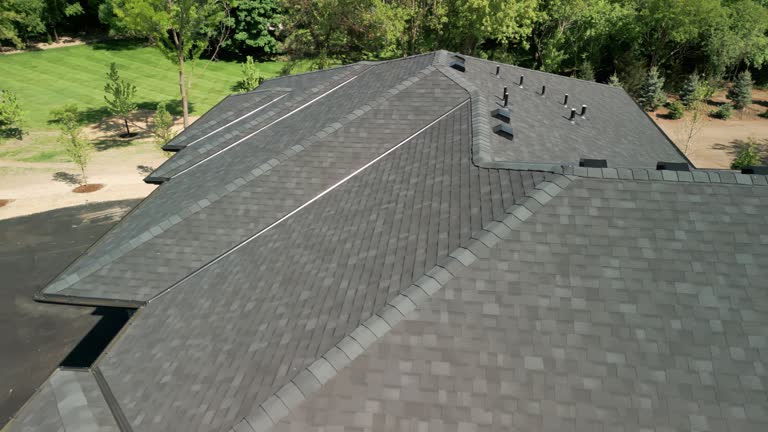 Best Storm Damage Roof Repair  in Lmar, DE