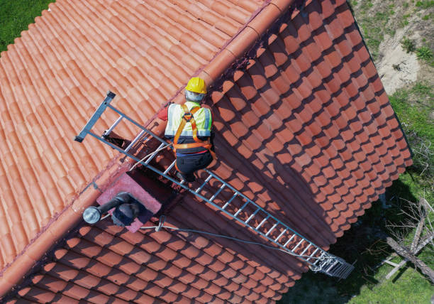 Best Gutter Installation and Repair  in Lmar, DE